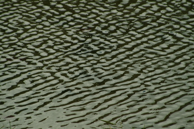 La luce gioca con l''acqua